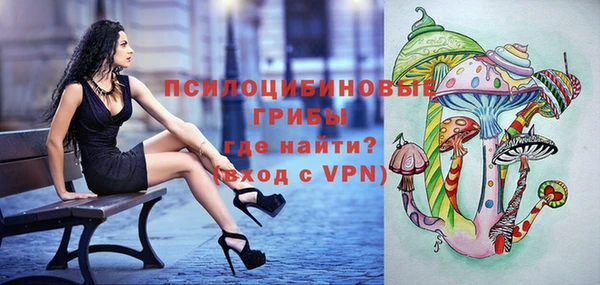 apvp Киреевск