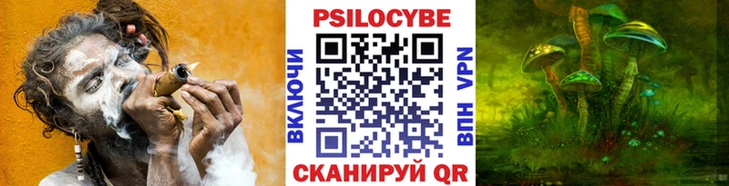 Купить закладки  Малмыж  Галлюциногенные грибы GOLDEN TEACHER 